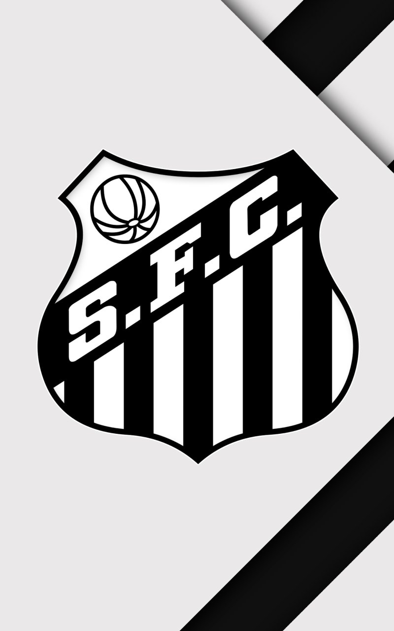 Santos Futebol Clube oficial