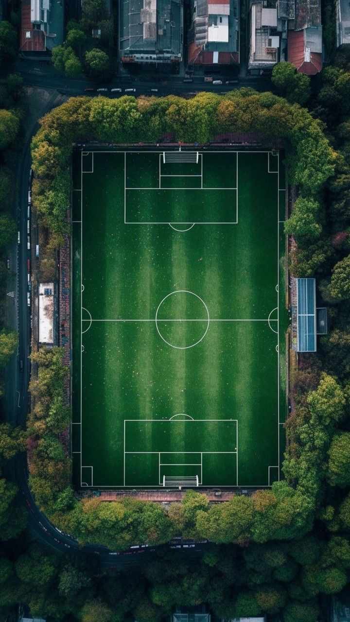 Vista do alto de um campo de futebol