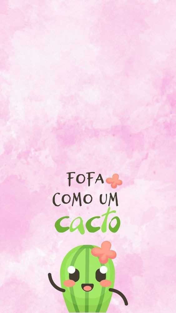 Cacto fofa