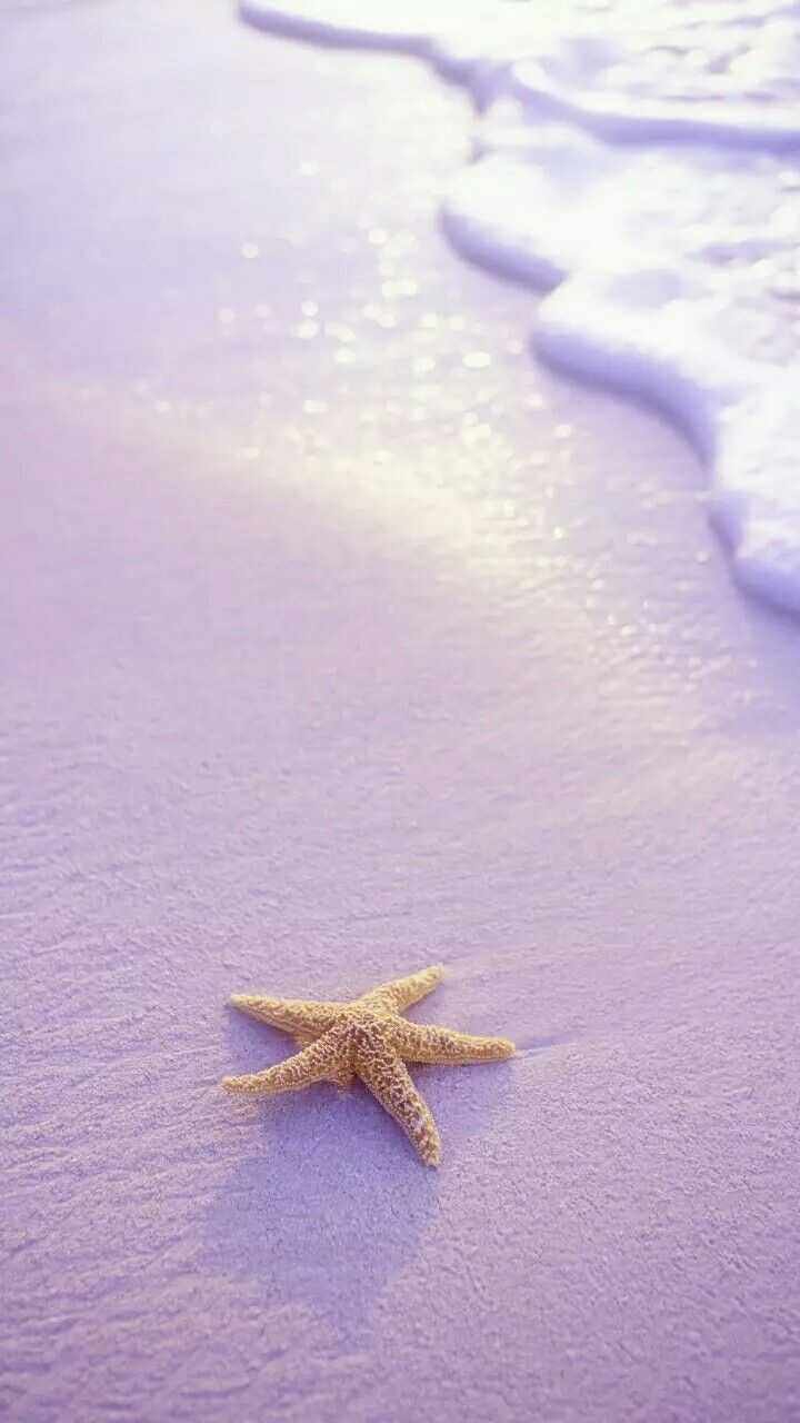 Estrela do mar na superfície