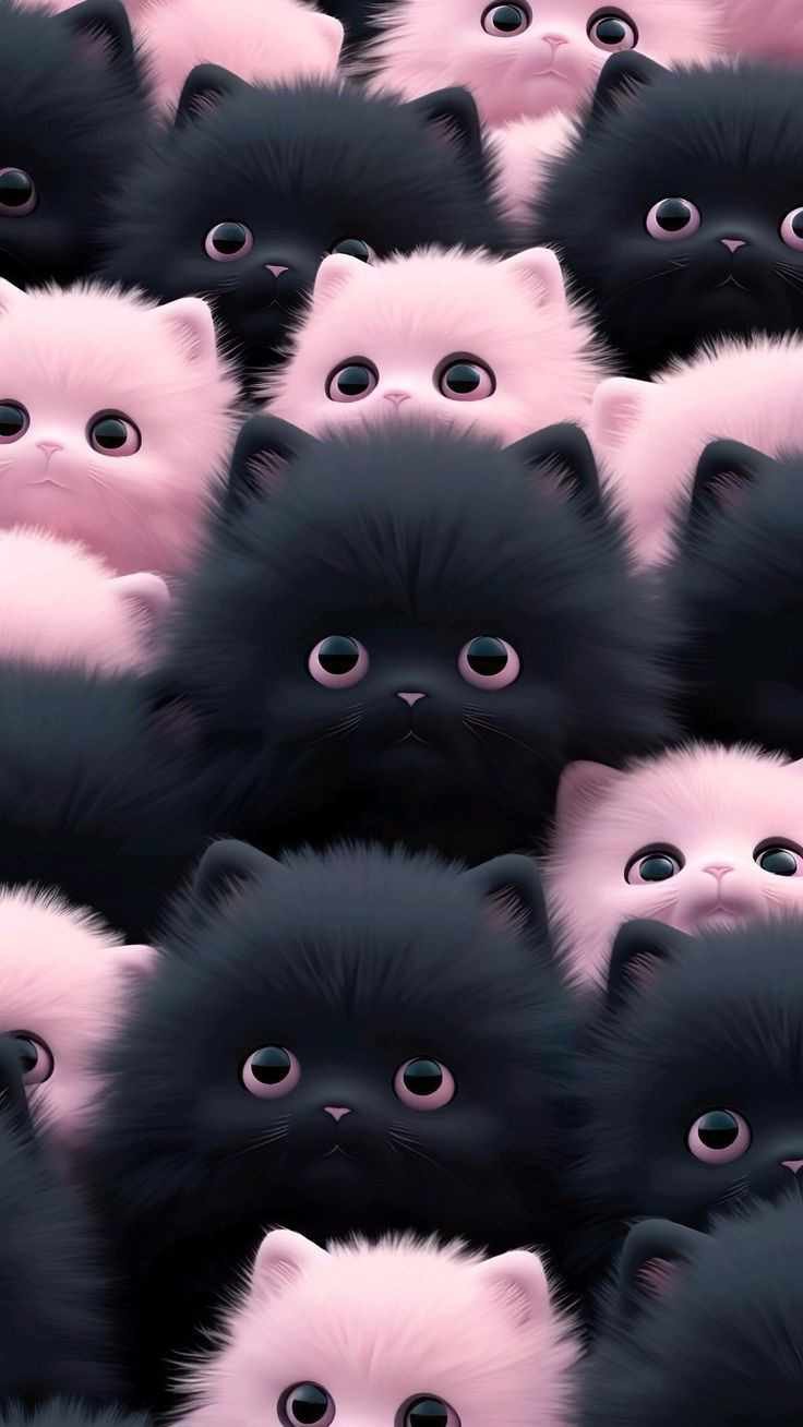 Vários gatinhos preto e rosa